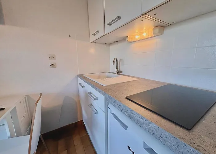 Avec Terrasse Et Acces - Fr-1-816-36 *